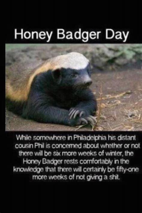 Cause Honey Badger don't give a shit. | Honey badger, Badger, Funny