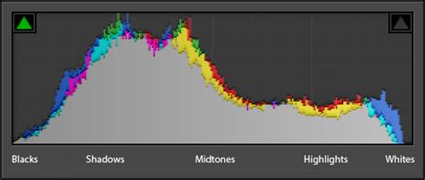 Understanding Histograms in Photography