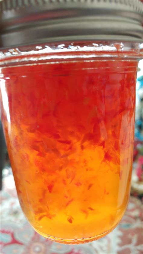 Habanero Pepper Jelly Recipe | Allrecipes