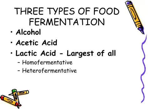 PPT - THREE TYPES OF FOOD FERMENTATION PowerPoint Presentation, free download - ID:3129655