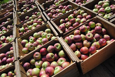 Red Apple Farm - Boston Public Market