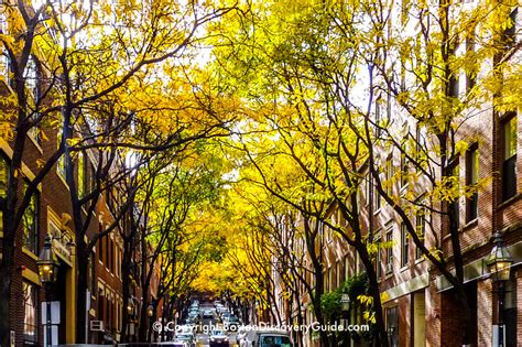 Boston Fall Foliage 2024 - 11 Best Places to See It - Boston Discovery Guide