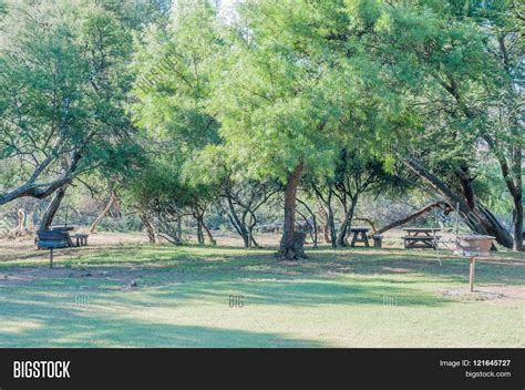 Picnic Area Mountain Image & Photo (Free Trial) | Bigstock