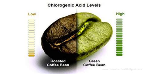 Chlorogenic Acid: Health Benefits and Possible Side Effects