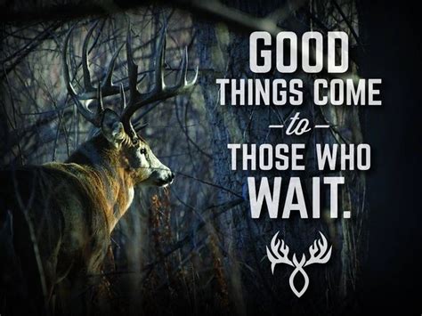 Good things... | Hunting quotes, Whitetail deer hunting, Hunting