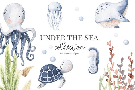 Under The Sea - watercolor set | Animal Illustrations ~ Creative Market