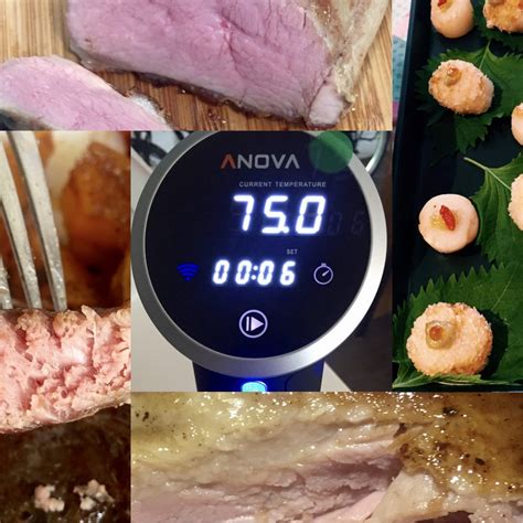 Review of Anova Sous Vide Precision Cooker WIFI - Healthy Living SG