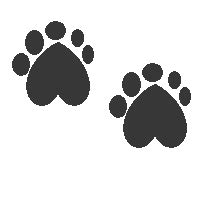 Meaning of 🐾 Paw Prints Emoji in 26 Languages