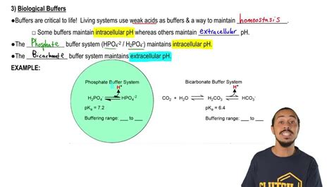 Phosphate Buffer System Equation