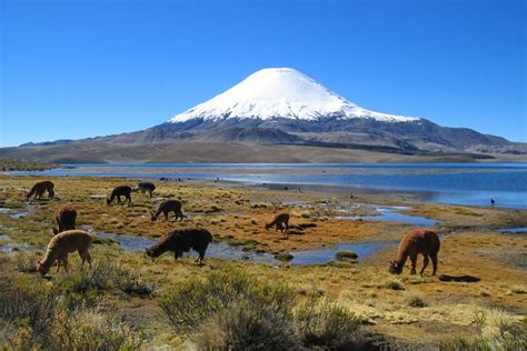 Tallest Mountains Bolivia - Gulliver Expeditions Expeditions