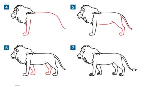 How To Draw A Lion Step By Clip Art Library Lion Drawing Drawing Tips ...