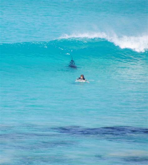 Australian surfer barely escapes shark chasing him