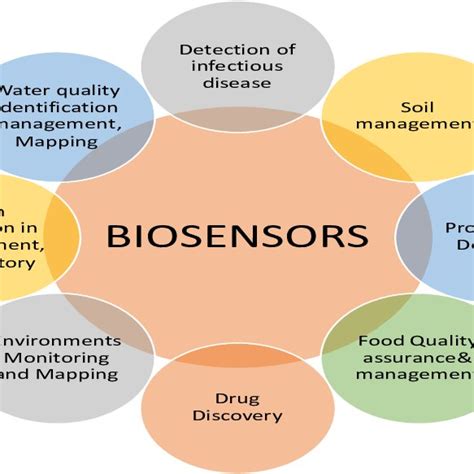 Applications of biosensors in different fields of sciences 4.2... | Download Scientific Diagram