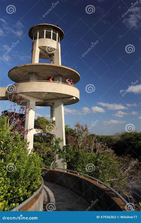 Shark Valley Observation Tower Editorial Stock Photo - Image of national, landscape: 47936363