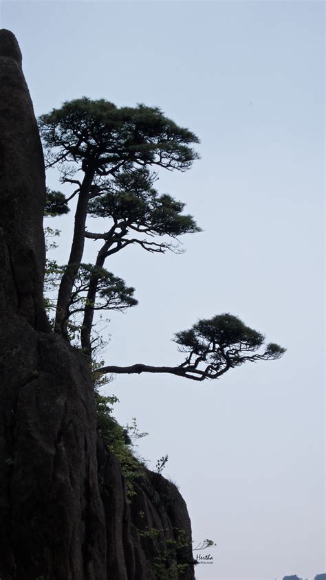 Hiking in Huangshan Park | Bill Hertha | Flickr