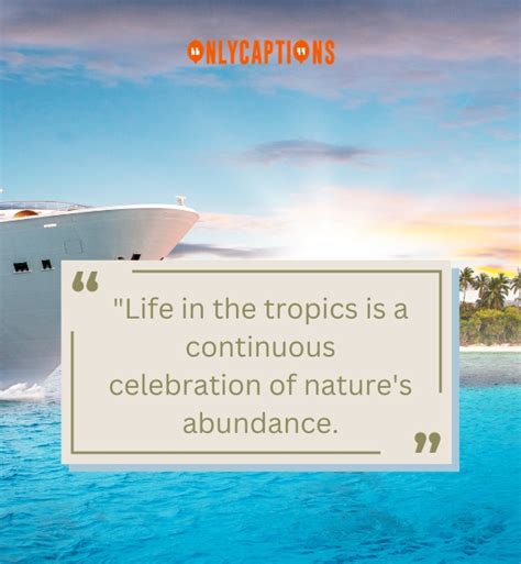 900+ Quotes About The Tropics (2024) Island Vibes