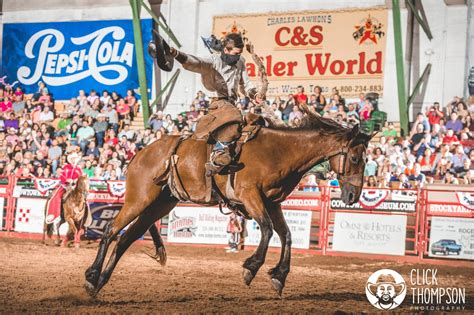 Stockyards Championship Rodeo - DFWChild