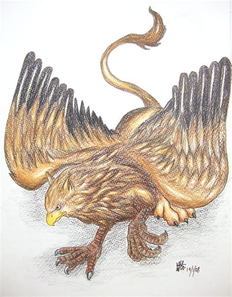 Griffin | Colour Pencil drawing of a Griffin | Xin Yan Yang | Flickr