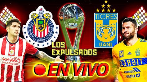 Chivas vs Tigres - LaelSiarra