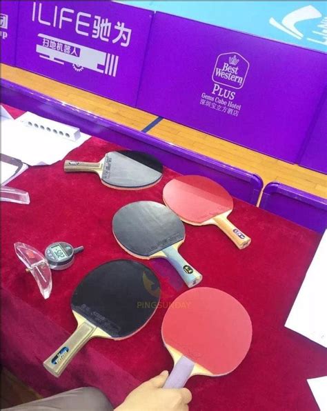 Basic ping pong equipment for beginner - PingSunday