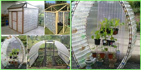 diy greenhouse Archives - DIY 4 EVER