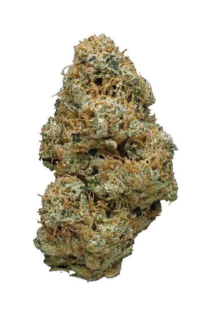 OG Chem Strain - Hybrid Cannabis Video Review, CBD : Hytiva