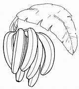 Banana Tree Coloring Page sketch template