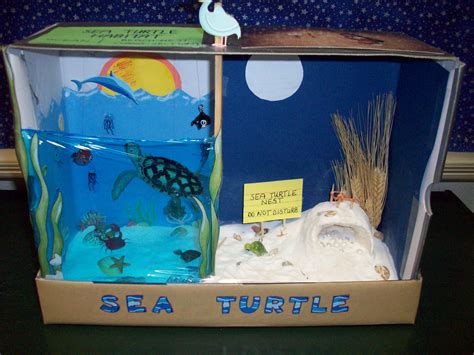 Shoebox Sea Turtle Habitat Diorama