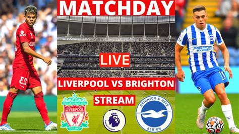 Liverpool vs Brighton Live Stream Premier League EPL Football Match ...