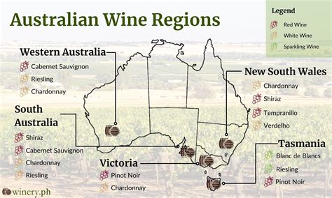 Discover Australia’s Wine Regions: From Bold Shiraz to Delightful Spar - Winery.ph