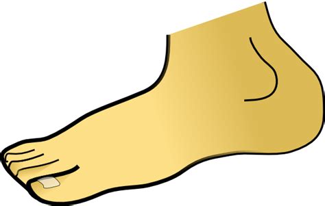 Free Feet Cliparts, Download Free Feet Cliparts png images, Free ...