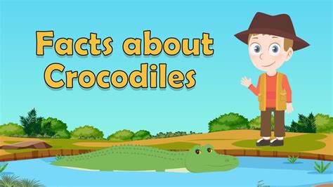 Facts about Crocodiles | Facts about Crocodiles for kids | Crocodile ...