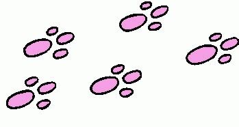 Rabbit tracks clipart 20 free Cliparts | Download images on Clipground 2024