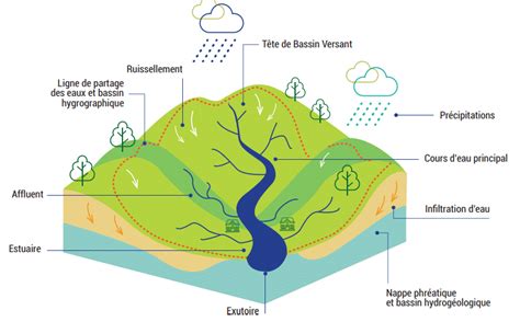 Qu’est-ce qu’un bassin versant ? – EPAGA