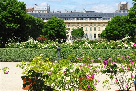 Explore the secretive Palais-Royal Garden - French Moments