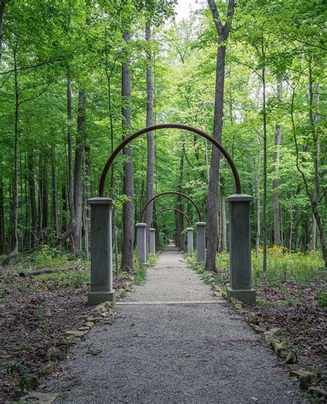 An abandoned 100-year-old theme park, Rose Island is an amazing hike at ...