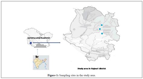 Tree species composition, diversity and distribution along an ele