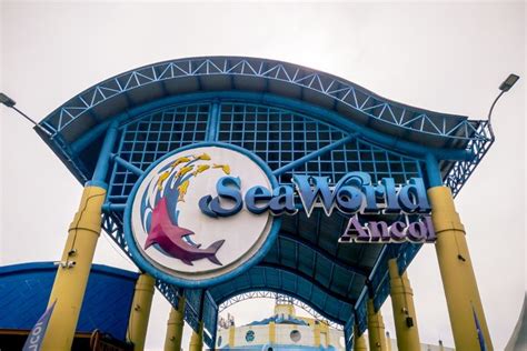 Apakah Bisa Beli Tiket Seaworld Langsung di Lokasi? - Upah.co.id