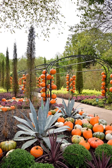 Cheekwood Harvest: A Fall Must-Do in Nashville. Fall-themed gardens, a pumpkin patch with ...