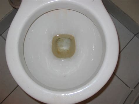 How to Clean a Toilet Without Chemicals : 5 Steps - Instructables