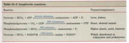 Pin on Biochemistry Cycles