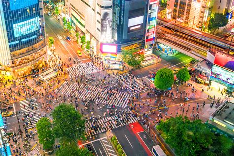 Shibuya Crossing from top view in Tokyo Stock-Foto | Adobe Stock