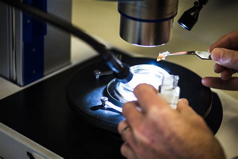 Larval Fishes - The Australian Museum