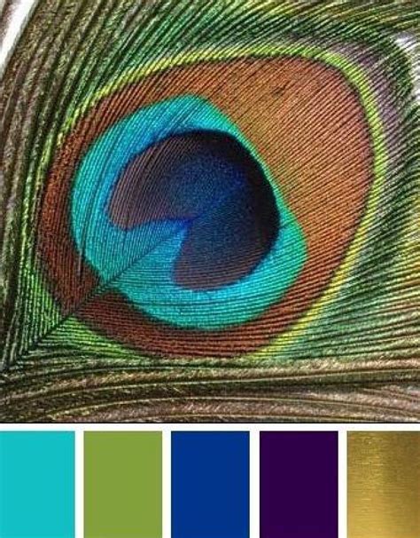 Peacock wedding Peacock Color Scheme, Peacock Colors, Colour Schemes, Color Combinations, Colour ...