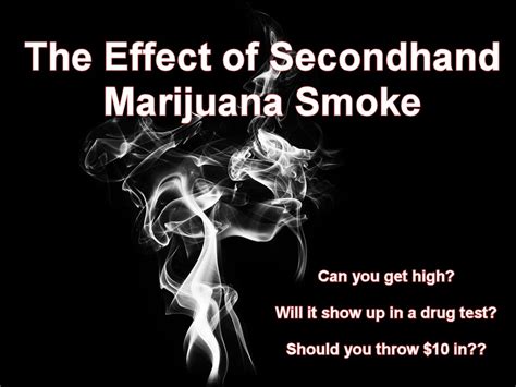 The Effect of Secondhand Marijuana Smoke