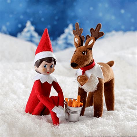 Why Did My Elf Go Back to the North Pole? | The Elf on the Shelf