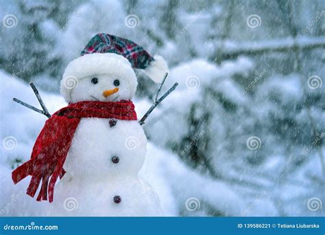 Snowman on the Background of a Winter Landscape. Stock Image - Image of fresh, snowfall: 139586221