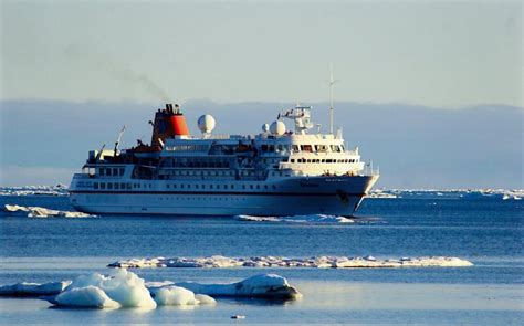 A Guide to Arctic Cruises