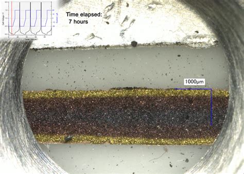 ECC-Opto-Std_Graphite-vs-LFP-with-LiRefl_gradient_preview | EL-CELL