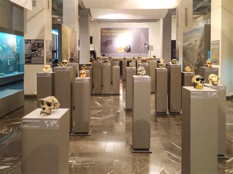 The Best Museums in Tbilisi Georgia - Your Ultimate List